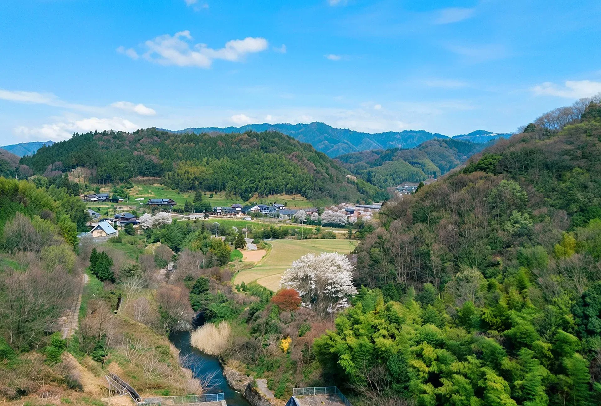 森に囲まれた谷あいに集落と田畑が広がる里山の風景